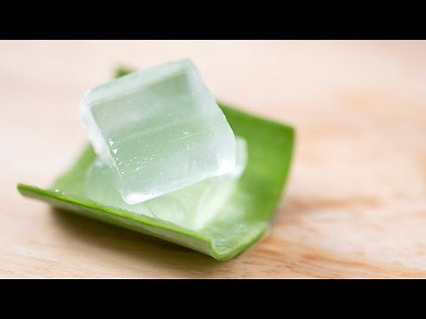 蘆薈 種類